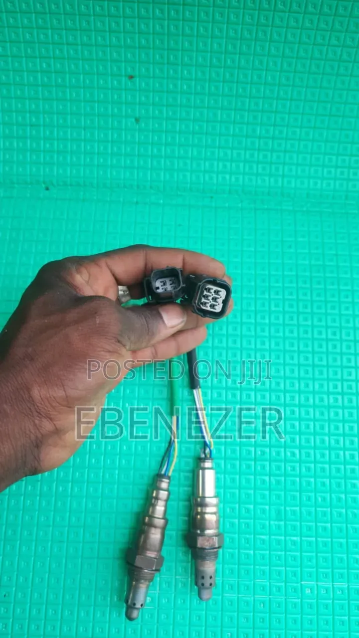 Oxygen Sensors