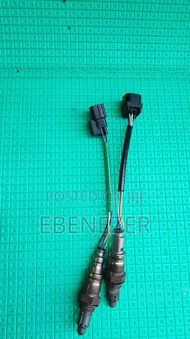 Oxygen Sensors