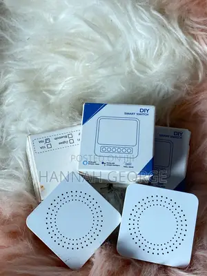 Diy Smart Switch for Sale