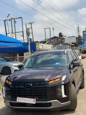 Hyundai Palisade 2023 Black