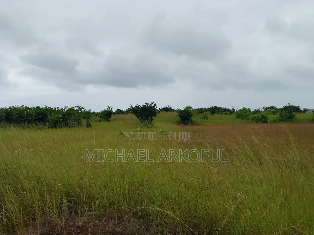 Lakeside Land for Long Lease