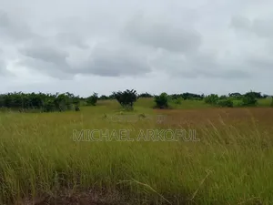 Lakeside Land for Long Lease