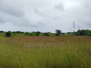 Lakeside Land for Long Lease