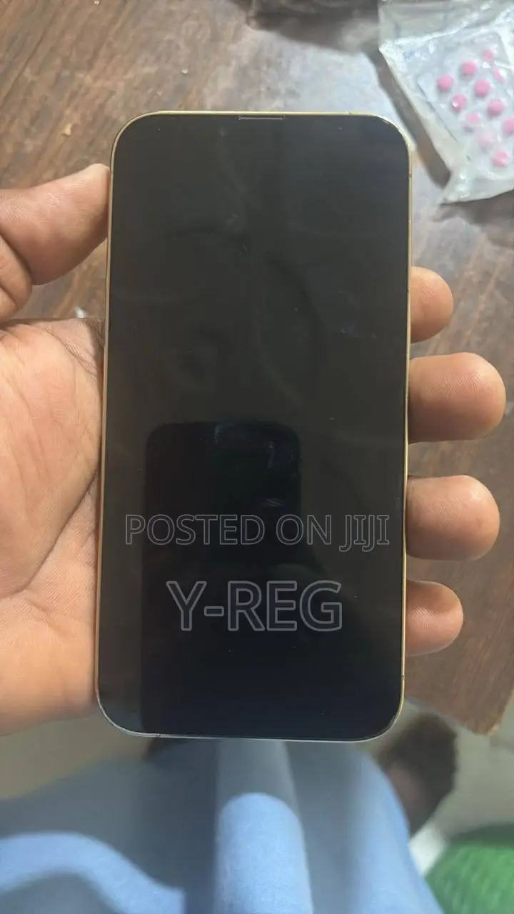 Apple iPhone 13 Pro Max 128 GB Green
