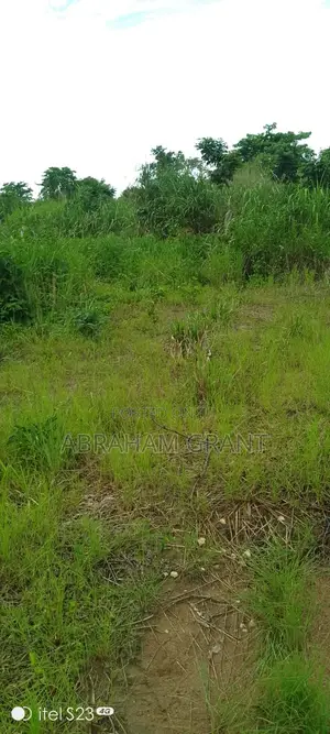 Farm Land for Sale