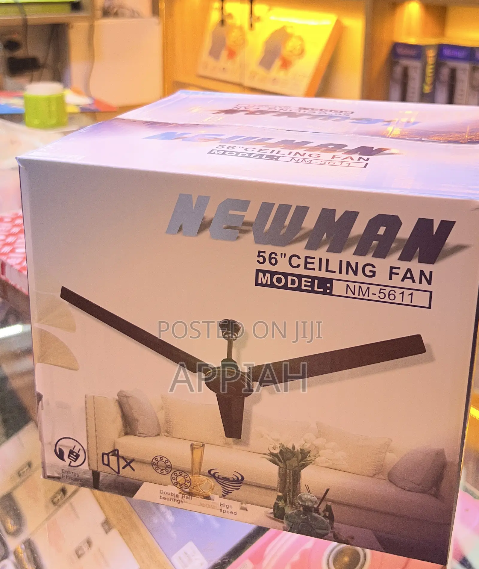 Ceiling Fans