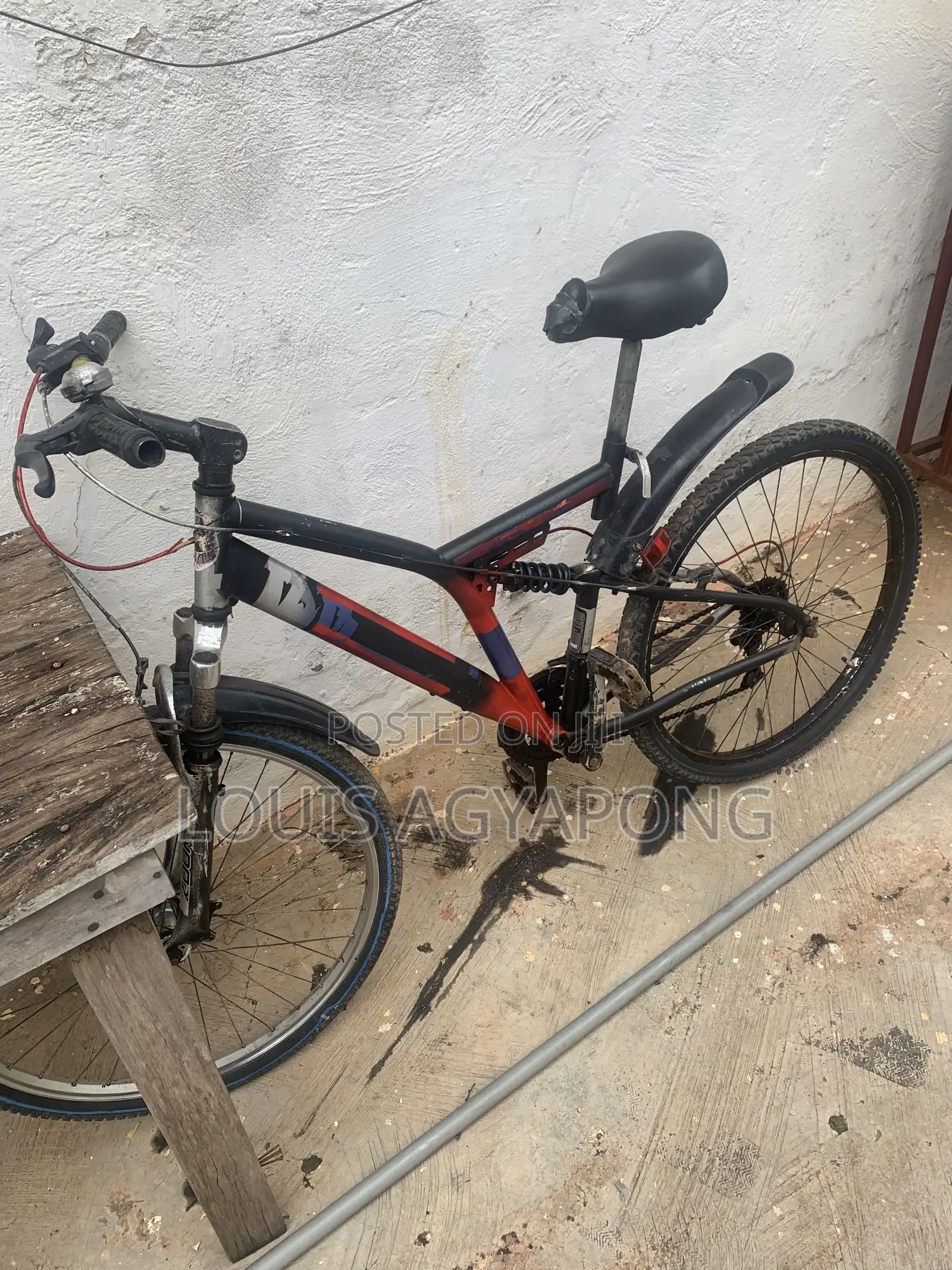 Bicyclea Spring