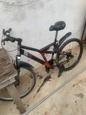 Bicyclea Spring