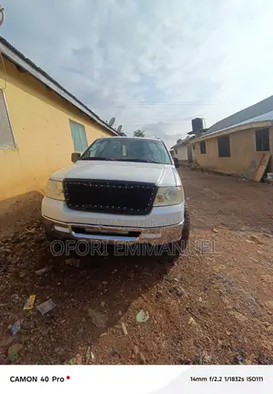 Ford F-150 2006 White