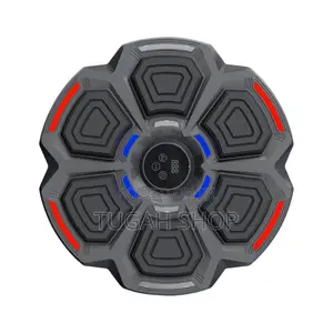 Smart Home Wall Mount Music Boxing Target for Exercise and Home Train