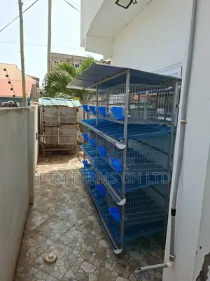 12 Units Rabbits Cage