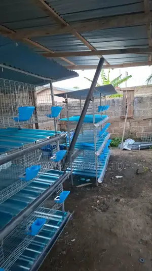 12 Units Rabbits Cage