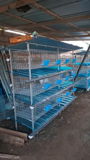 12 Units Rabbits Cage