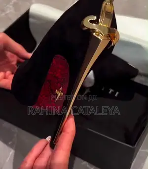 Ladies Shoe Heel
