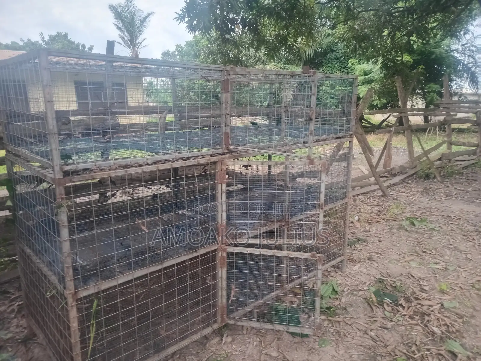Two Cages "Three in One Separate . Rearing Poultry and Selling, Rabbit