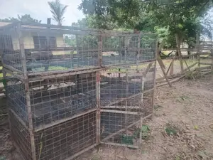 Two Cages "Three in One Separate . Rearing Poultry and Selling, Rabbit