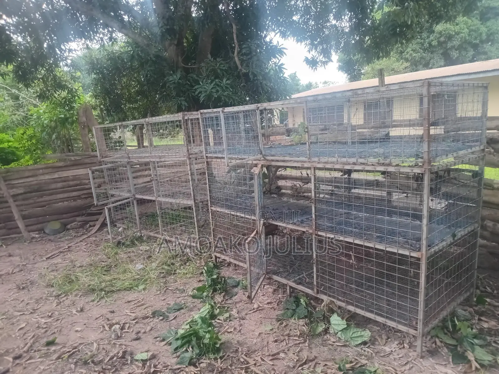 Two Cages "Three in One Separate . Rearing Poultry and Selling, Rabbit