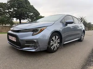 Toyota Corolla LE 2020 Gray
