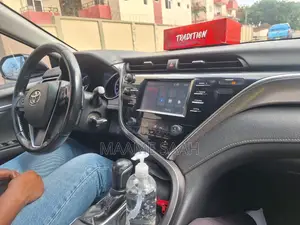 Toyota Camry LE (2.5L 4cyl 8A) 2019 Gray