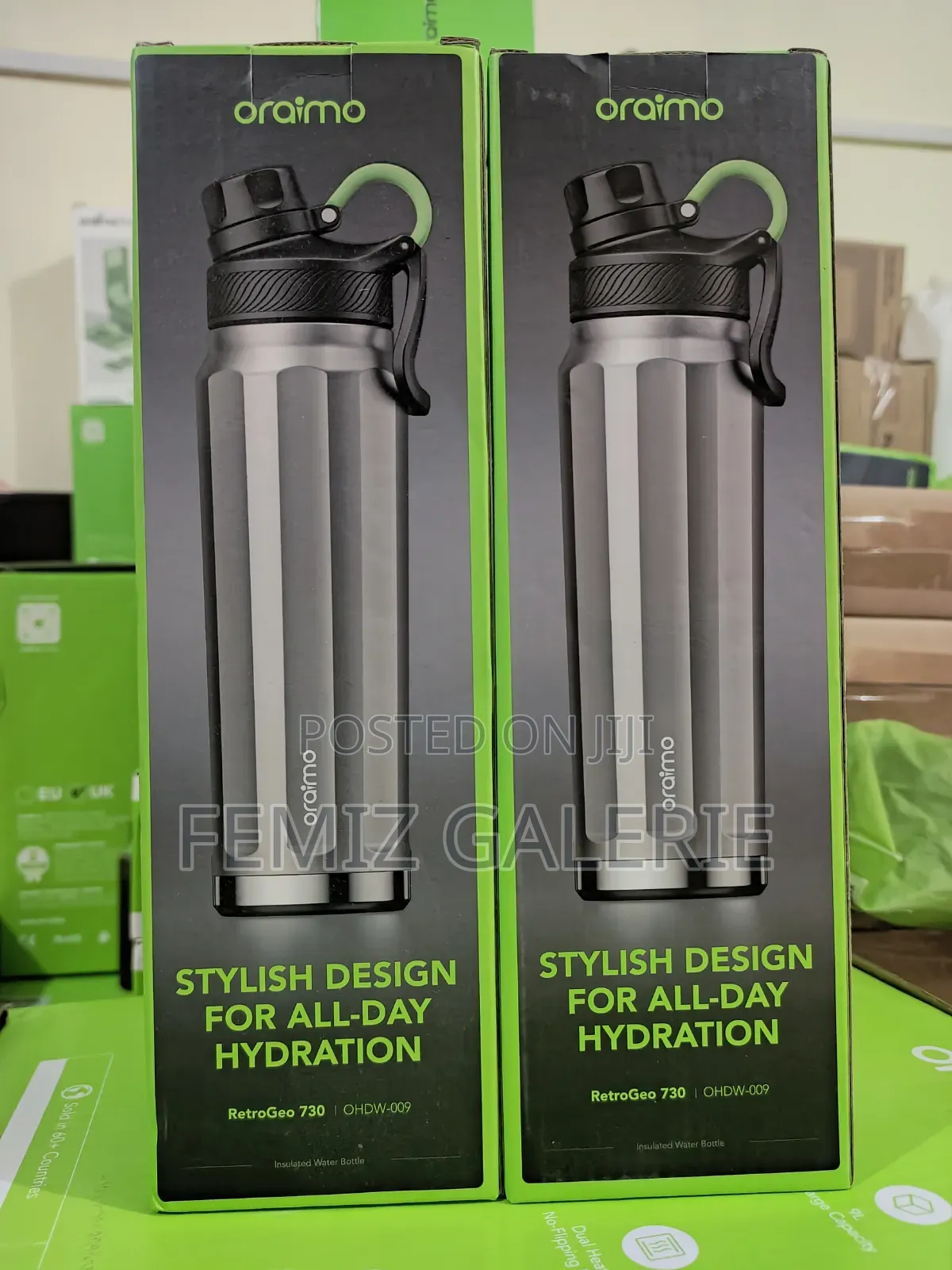 Oraimo RetroGeo 730 Sports Aesthetics 730ml Insulated Water Bottle