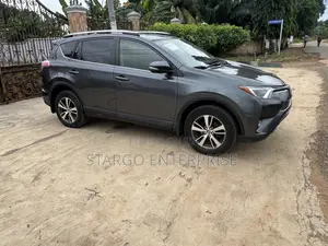 Toyota RAV4 XLE AWD (2.5L 4cyl 6A) 2017 Gray