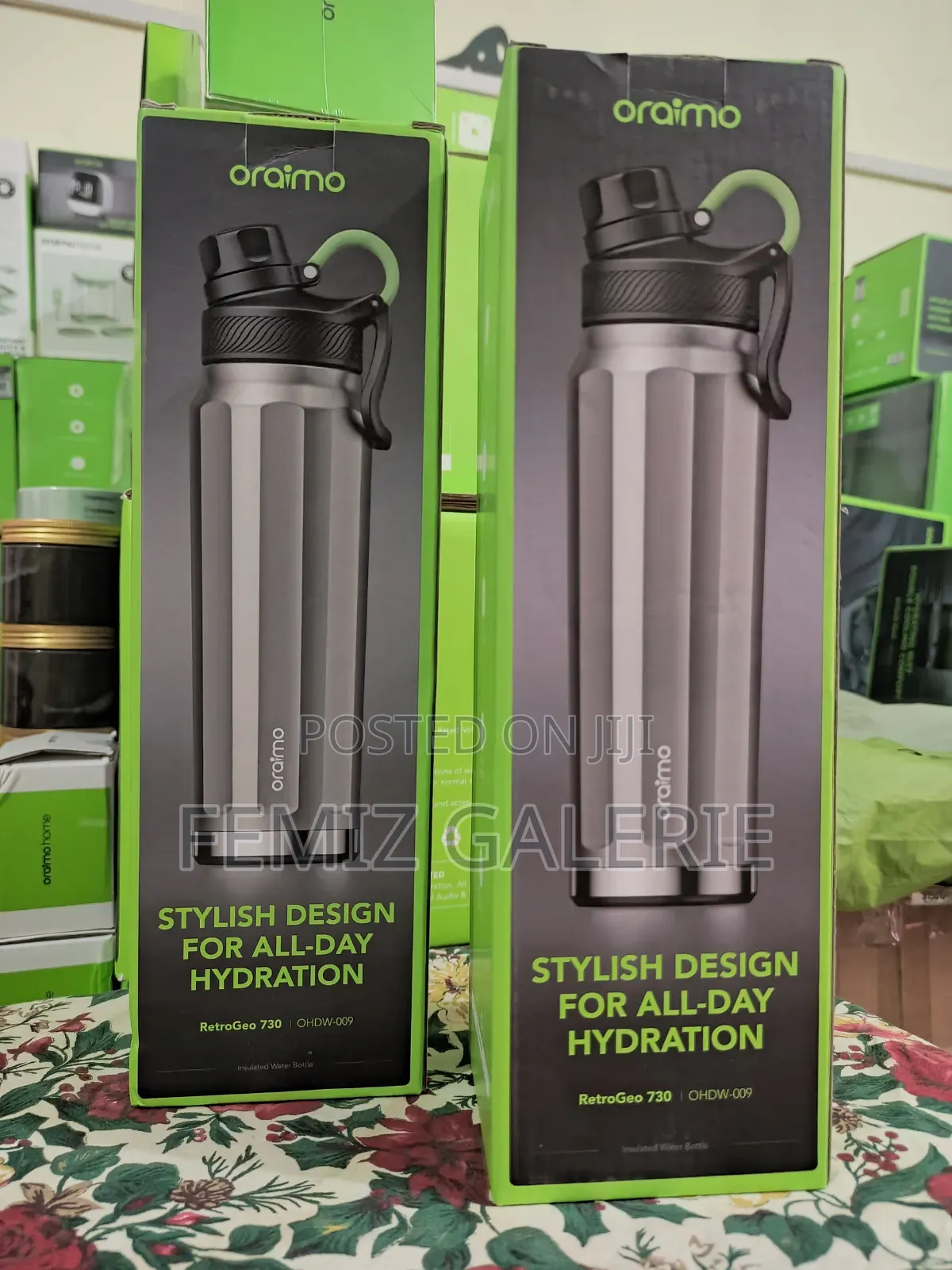 Oraimo RetroGeo 730 Sports Aesthetics 730ml Insulated Water Bottle