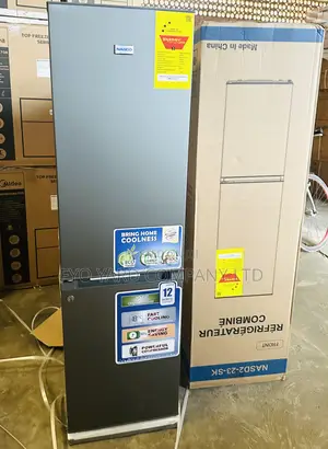 Modern Design 170liters Nasco Fast Cooling 2 Doors Fridge
