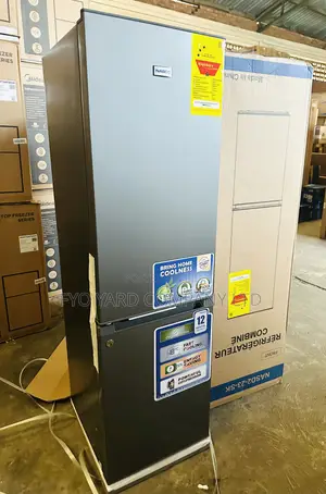 Modern Design 170liters Nasco Fast Cooling 2 Doors Fridge