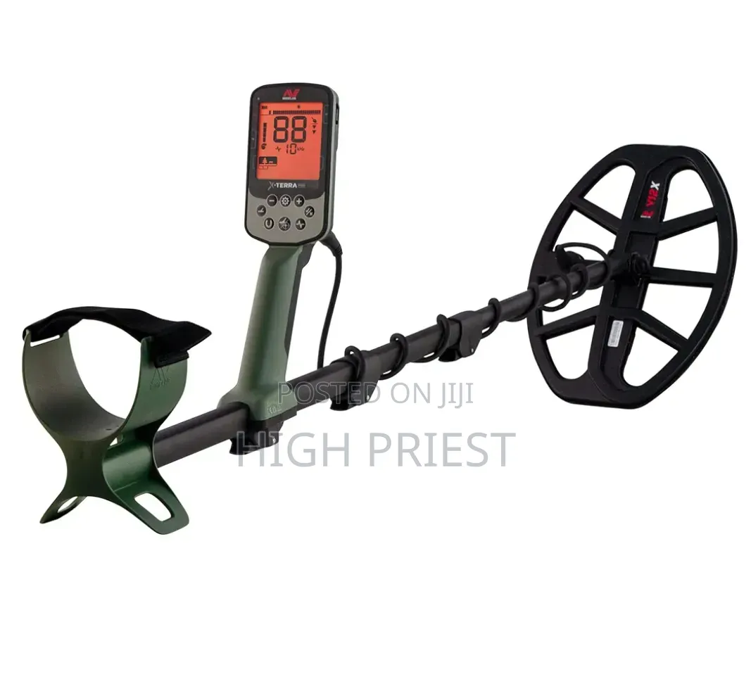 Minelab Gold Detector
