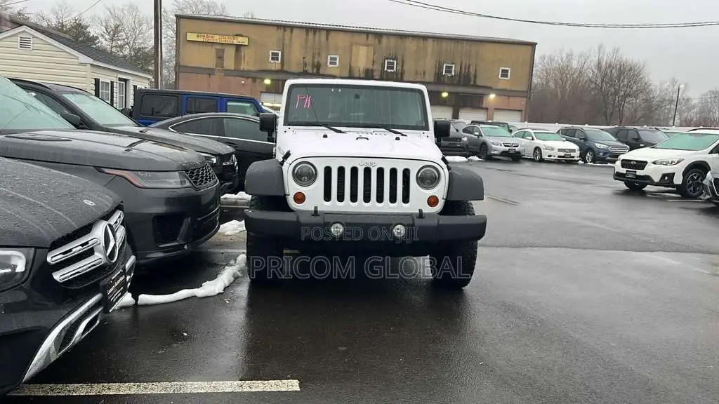 Jeep Wrangler Unlimited Rubicon 4dr SUV 4WD (3.6L 6cyl 6M) 2014 White