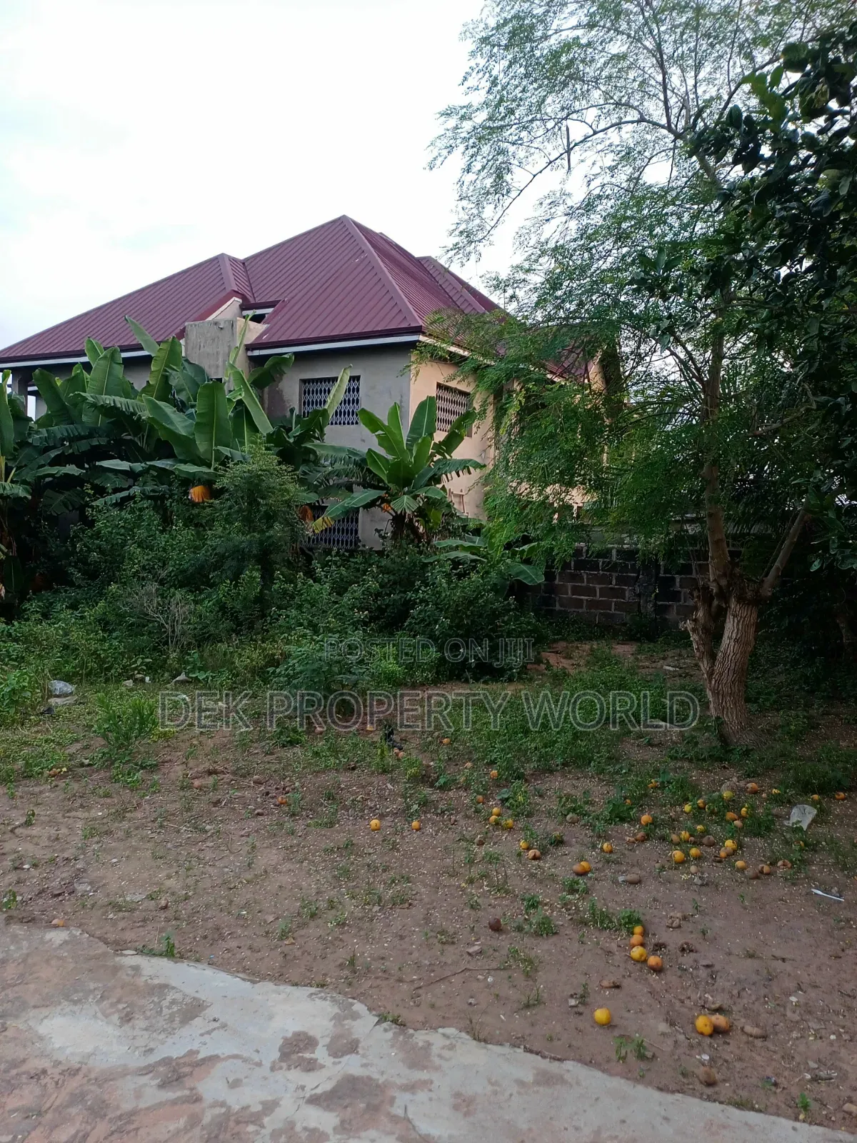 Genuine Land for Sale at Ashongman Estates