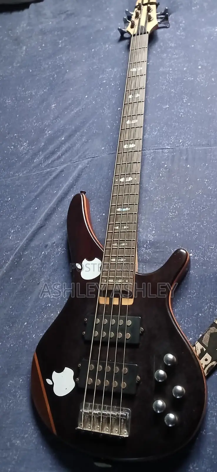 Bass Guitar
