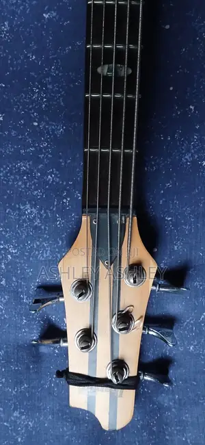 Bass Guitar