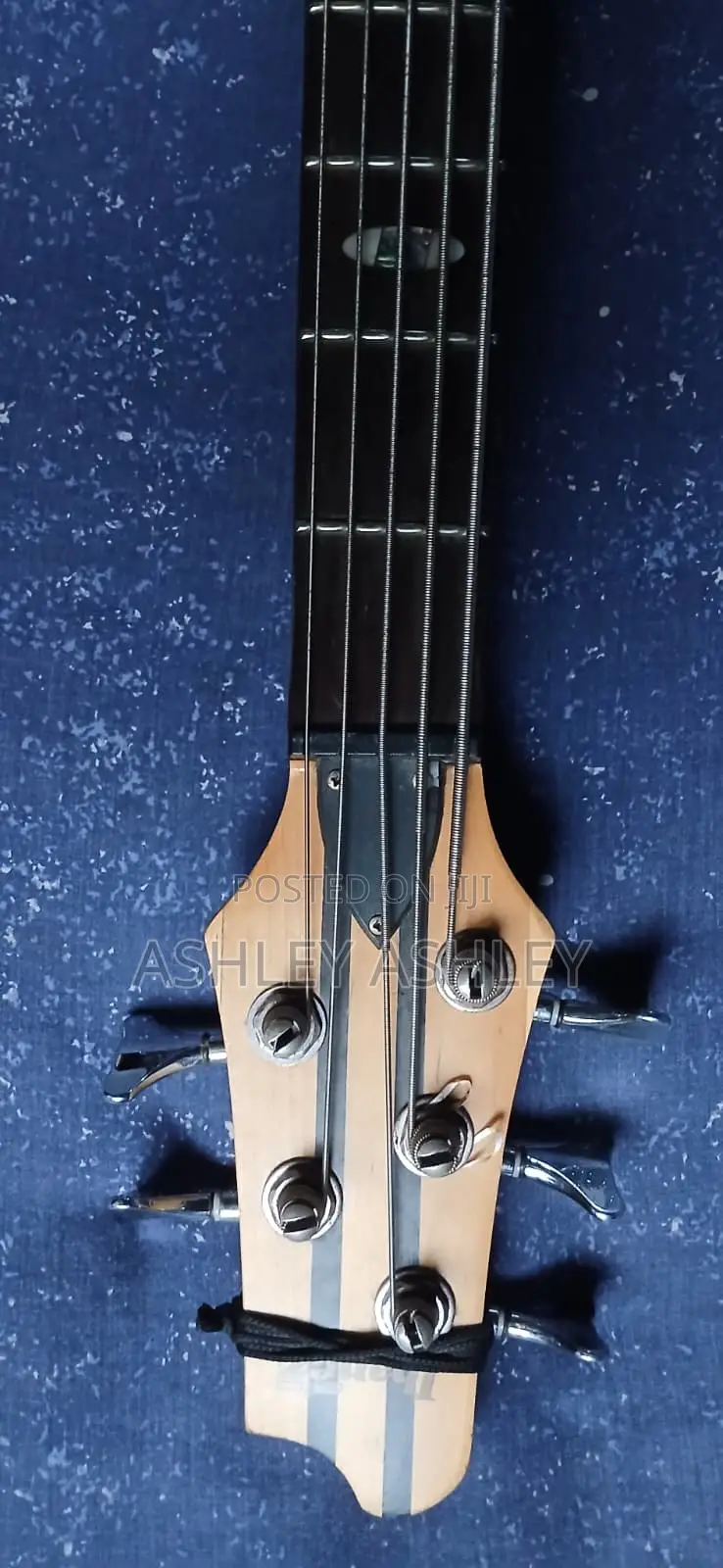 Bass Guitar