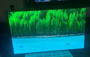 LG 77 Inches OLED Smart 