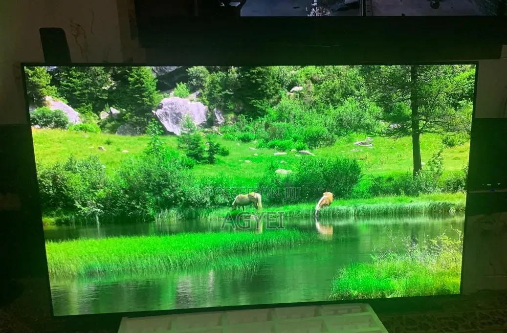 LG 77 Inches OLED Smart 