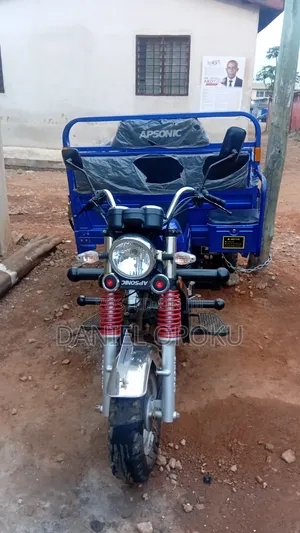 Tricycle 2024 Blue