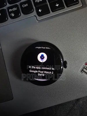 Google Pixel Watch 2