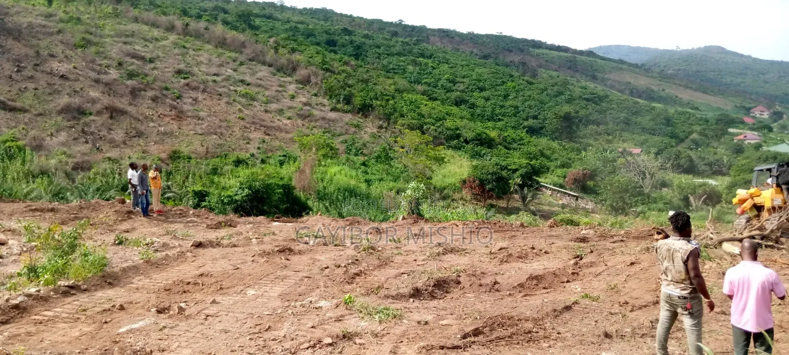 Land Sales