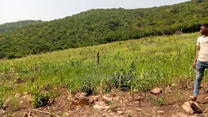 Land Sales
