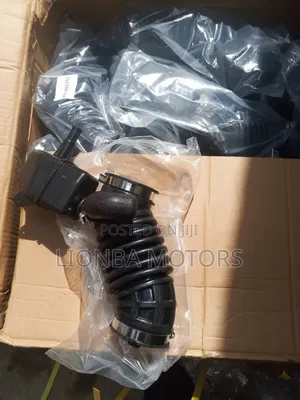 Nissan Sentra Air Cleaner Hose