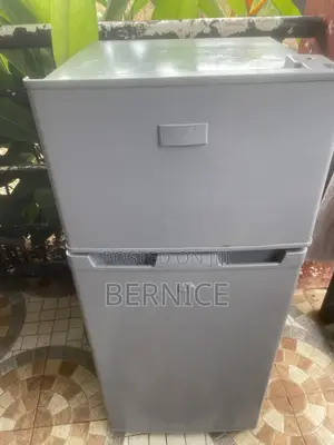 Nasco Used Fridge