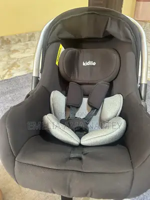 Car Seat / Carrier