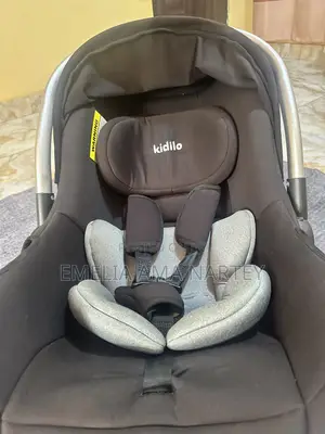 Car Seat / Carrier