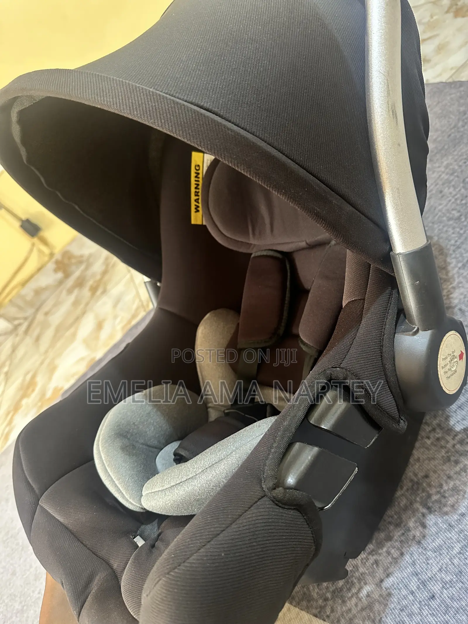 Car Seat / Carrier