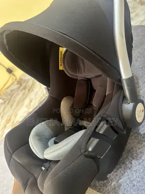 Car Seat / Carrier