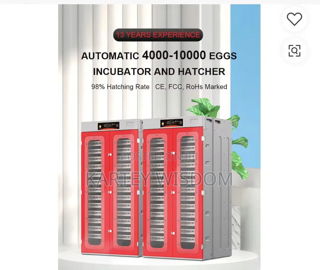 Egg Incubator for Sale