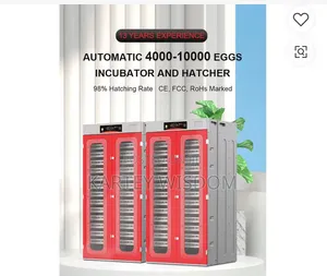 Egg Incubator for Sale