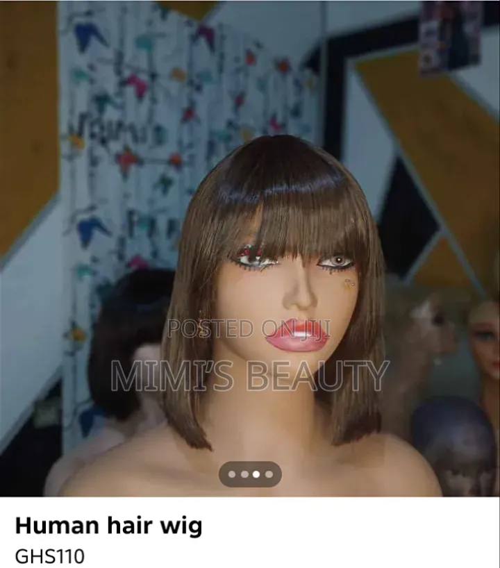 Human Hair Wigs