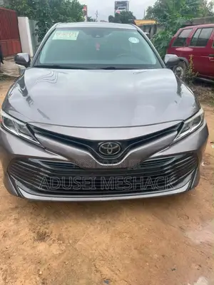 Toyota Camry LE (2.5L 4cyl 8A) 2019 Gray